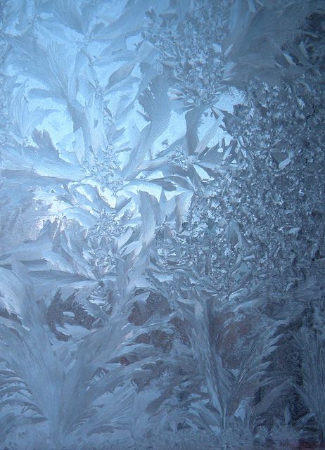 Frost on window - no central heating so in winter we often woke up to this in a chilly bedroom along with cold Lino under your feet as you stepped out of bed Frost Blue Aesthetic, Ice On Window, Frost On Window, Frost Aesthetic, Ice Crystals Aesthetic, Frosty Window Aesthetic, Frosted Flowers Winter, Frozen Window, Frost On Leaves