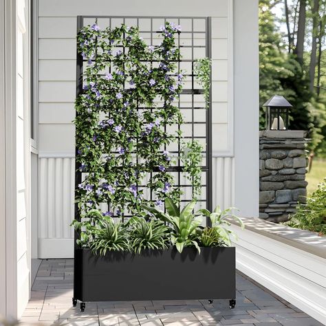 Arlmont & Co. 73"H×35"W Metal Planter Box with Trellis with Wheels | Wayfair Patio Space Ideas, Tropical Courtyard, Orchid Display, Planter Box With Trellis, Front Porch Planters, Climbing Trellis, Planter Trellis, Metal Trellis, Outdoor Trellis