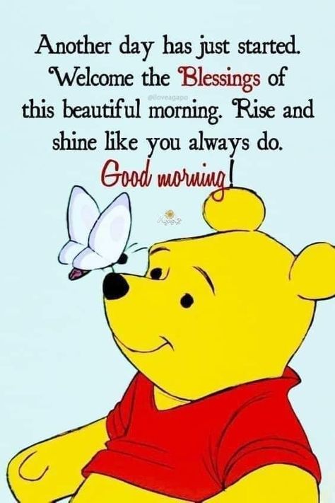 Pooh Good Morning, Pooh Bear Quotes, Winnie The Pooh Gif, Tweety Bird Quotes, Bear Quotes, Good Morning Animals, Good Morning Snoopy, Day And Nite, Thinking Of You Quotes