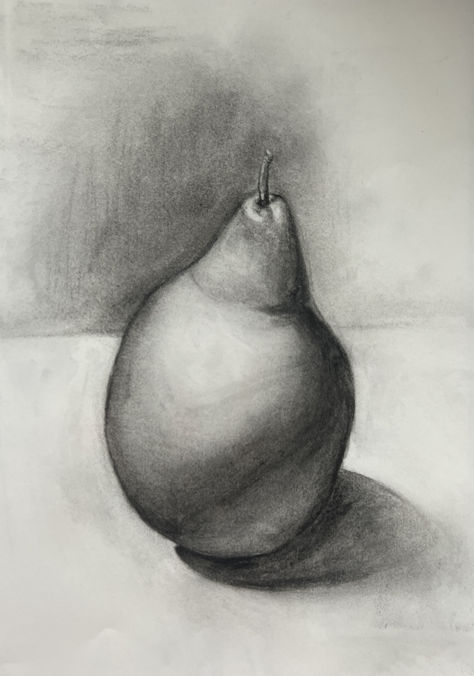 Charcoal Drawing Art School Drawing Example Charcoal Still Life of a Pear  #fruit #drawing #art #stilllife #form #charcoal #shadow #highlight Charcoal Still Life, Pear Still Life, Drawing Still Life, Fruit Drawing, School Drawing, Pear Art, Pear Fruit, Drawing Examples, Charcoal Drawing