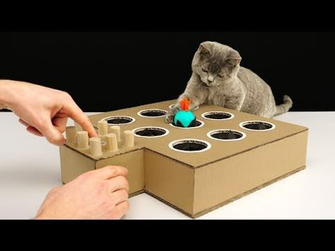 How to Make a Whack-A-Mole Game for Your Cat Cat Toys Diy Easy How To Make, Diy Whack A Mole Game, Wack A Mole Game Diy, Diy Cat Toys Easy Cardboard Boxes, Cardboard Cat Toys, Cat Toy Diy, Make Cat Toys, Diy Jouet Pour Chat, Diy Cat Toys Easy