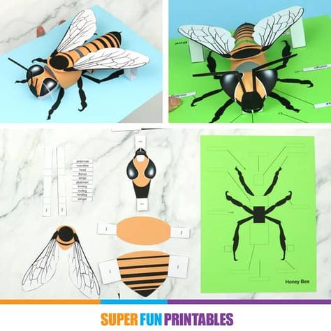 3D paper bee craft with anatomy labels by Super Fun Printables | TPT Paper Bee Craft, Diy Gifts Paper, Paper Dragonflies, Watercolor Christmas Cards Diy, Paper Bee, Bee Craft, Bee Activities, Botanical Drawing, White Line Art