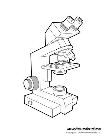 Anatomy of a Microscope Microscope Diagram, Microscope Worksheet, Parts Of A Microscope, College Essay Tips, Biology Test, Science Diagrams, Microscope Parts, Science Printables, Science Quiz