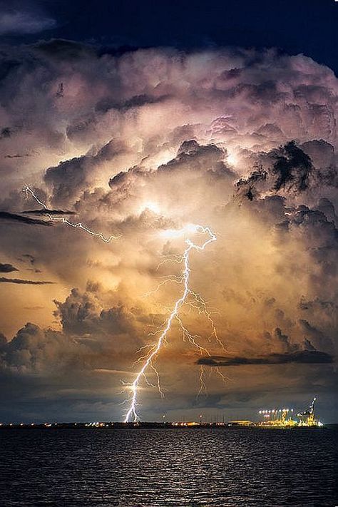 Thunderstorm Lights, Storm Lights, Lightning Photography, Wild Weather, Image Nature, Thunder And Lightning, Lightning Storm, Stormy Weather, Lightning Strikes