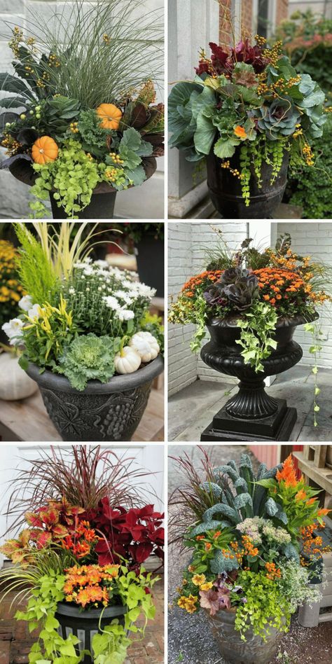 Attractive Fall Planters to Showcase the Colors of Autumn - The Pauline Fall To Winter Planters Front Porches, Fall Planter Boxes Front Porches, Mums In Urns, Fall Planter Box Ideas Front Porches, September Planter Ideas, Fall Front Door Flower Pots, Fall Flowers Garden Pots, Autumn Outdoor Planter Ideas, Autumn Garden Centre Displays