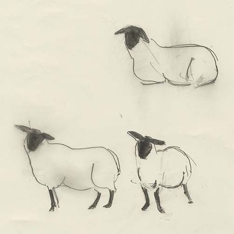 Drawing and Illusion: 2015 - Year of the Sheep Sheep Face Drawing, Sheep Cute Drawing, Sheep Illustration Design, How To Draw Sheep, Sheep Sketch, Drawing Sheep, Year Of The Sheep, Sheep Tattoo, Sheep Drawing