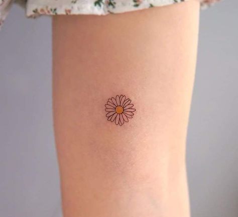 Daisy Small Tattoo, Cute Daisy Tattoo, Take It Easy Tattoo, Tattoo Daisies, Tiny Daisy Tattoo, Daisy Tatoos, Daisies Tattoo, Tiny Hidden Tattoos, Tattoo Daisy