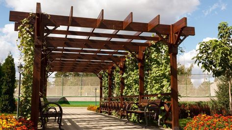 Plant Pergola, Deck Shade Ideas, Pergola Shade Ideas, Pergola Cost, Wood Gazebo, Moving Advice, Deck Shade, Outdoor Deck Decorating, Cedar Pergola