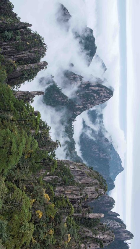 Sea of clouds and peaks of Yellow Mountain or Huangshan Mountain in Huangshan City, Anhui province. Air Kingdom, China Mountains, Mountain Plants, Tianzi Mountains, Yellow Mountains, China Landscape, Huangshan Mountains, Aqua Scape, Mountain Formation