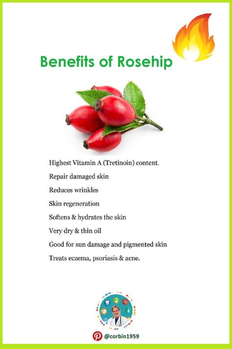 Rhodolia Rosea Benefits, Rose Hip Benefits, Evening Prime Rose Benefits, Rosehips Benefits, Rose Hip Oil Benefits, Benefits Of Rose Hips, Rose Hips Benefits, Rosehip Recipes, Herbal Benefits