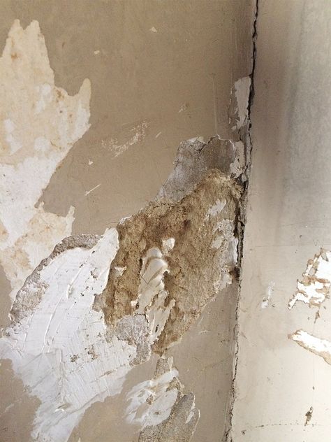 What It’s Like to Restore and Repair 100-Year-Old Wallpaper and Plaster Art Deco Cottage, Peeling Wall, Back Layers, Plaster Repair, Tan Paint, Leaky Roof, Distressed Walls, House Maintenance, Wooden Shutters