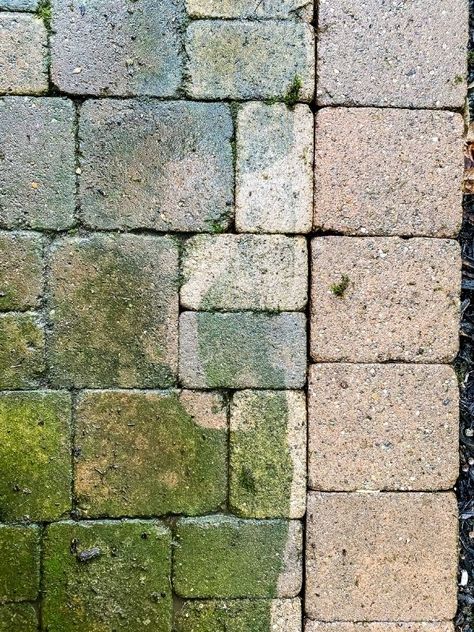 How To Clean Pavers Patio, Cheap Paver Patio Ideas, Cleaning Pavers, How To Clean Stone, Pavers Patio, Concrete Paver Patio, Cement Pavers, Clean Concrete, Brick Paver Patio