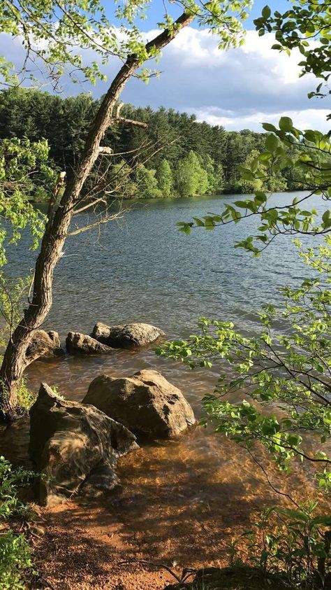 Loch Raven Reservoir Baltimore County Maryland [1334x750][OC] Maryland Countryside, Maryland Summer, Towson Maryland, Baltimore County, Spring Semester, Baltimore Maryland, United States Travel, Photo Location, Of Ideas