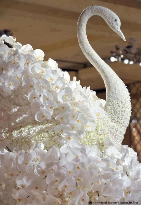 swoon swan Swan Wedding, Persian Wedding, Orchid Wedding, Spring Wedding Flowers, White Swan, Spring Bouquet, Deco Floral, Arte Floral, Table Cards