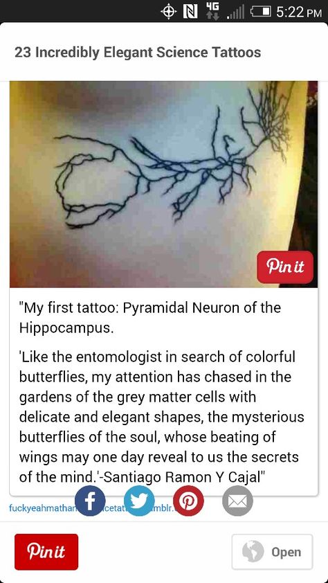 Neuron Tattoo Neuro Tattoo, Neuroscience Tattoo, Neuron Tattoo, Tattoo Elements, Science Tattoos, Brain Game, Botanical Tattoo, Body Modification, Henna Tattoo Designs