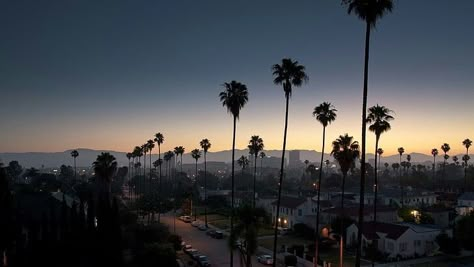 Wallpaper Palm Trees, Los Angeles Cityscape, Los Angeles Wallpaper, Oc California, Rare Gallery Wallpaper, L Wallpaper, Visual Story, Cali Girl, Mac Wallpaper