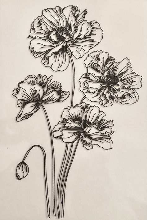 Poppy Flower Drawing, Growing Poppies, Poppy Flower Tattoo, Poppies Flower, Nature Ideas, Shin Tattoo, Floral Tattoo Shoulder, Tattoo Shoulder, Poppy Drawing