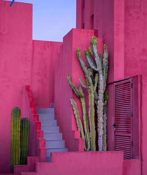 Murs Roses, Ricardo Bofill, Red Walls, Color Inspo, Casas De Ensueño, Marbella, Pink Aesthetic, Color Inspiration, Interior Architecture