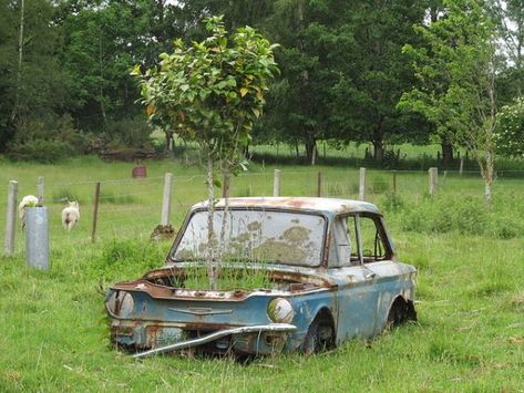 Overgrown Abandoned, Bad Room Ideas, Apocalypse Landscape, Abandoned Vehicles, Old Planes, Rusty Cars, Green Power, Epic Fails Funny, Abandoned Cars