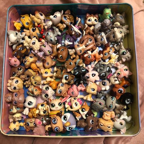 Lps Nostalgia, Lps Collection, Lps Popular, Custom Lps, Lps Toys, Lps Pets, Childhood Memories 2000, Lps Littlest Pet Shop, Nostalgic Toys