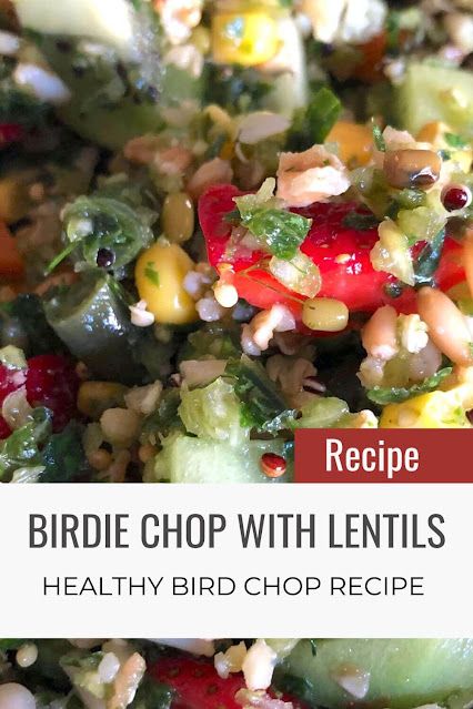 Birdie Chop with Lentils [healthy recipes] — Prego Dalliance Sanctuary Bird Chop Recipes, Bird Food Recipes, Bird Enrichment, Parrot Chop, Bird Bread, Bird Recipes, Parrot Diet, Parrot Food, Bird Sanctuary