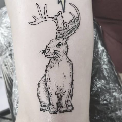 Jackalope Tattoo Traditional, Western Tattoos Ideas, Jackalope Drawing, Jackalope Tattoo, Cottagecore Tattoo, Weird Vibes, Scenery Tattoo, Quote Tattoos, Dandelion Tattoo