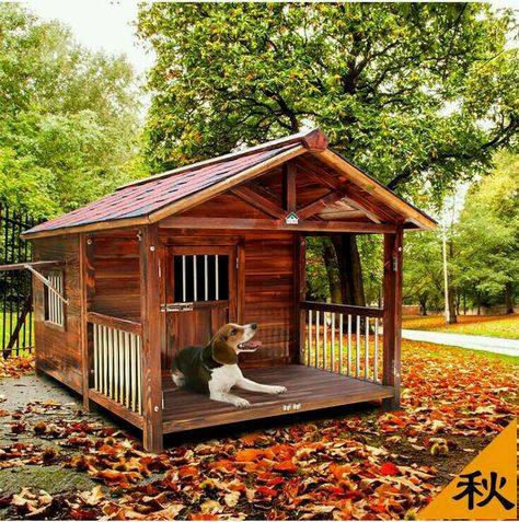 Dog house in Bulgaria and inspiration Doghouse Ideas, Large Dog House Plans, Large Dog House Outdoor, Dog Condo, Big Dog House, Extra Large Dog House, Dog Space, Dog Kennel Designs, Wooden Dog House