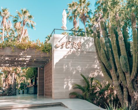 Acre Baja: A Luxury Treehouse Hotel in Cabo - FashionTravelRepeat Acre Resort Cabo, Acre Cabo, Cabo Vibes, Best Restaurants In Seattle, Luxury Treehouse, Acre Baja, Cabo Resorts, Luxury Tree Houses, Treehouse Hotel