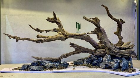 Brazilian Aquascape, Aquascape Design Natural, Hardscape Aquarium, Aquarium Hardscape, Coral Aquarium, Cichlid Aquarium, Aquarium Architecture, Fish Aquarium Decorations, Fish Tank Themes