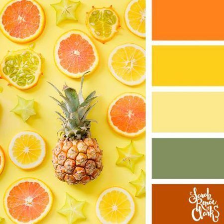 Mexican Colours, Tropical Colours, Summer Color Palettes, Design Seed, Color Boards, Shirt Inspiration, Color Catalog, Colour Trends, Color Schemes Colour Palettes