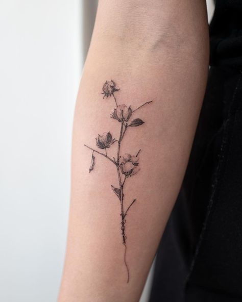 HONGDAM STUDIO on Instagram: “@ilwolhongdam” Cotton Flower Tattoo, Hongdam Tattoo, Cotton Tattoo, Flowers Tattoos, Foster The People, Cute Tats, Cotton Flower, Flowers Tattoo, Tattoo Cover