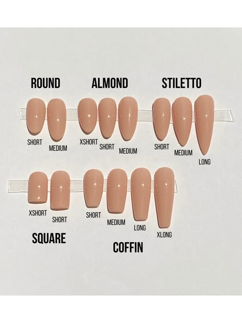 Nail Shape Examples, Nails Length And Shape, Natural And White Nails, S Size Nails, Nail Length Chart And Shape, Almond Nail Length Chart, Different Nail Shapes On One Hand, Nail Lengths And Shape Chart, Nail Sizes Chart Length