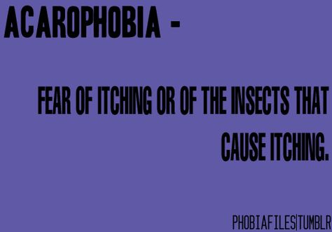 It's weird how simple little things can become a fear. Definitions Of Words, Weird Fears, Phobia Words, Cuss Words, Unusual Words, Word Definitions, Word Play, Writing Words, Foreign Languages