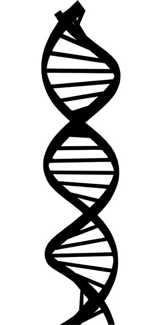 Dna Illustration, Dora Pictures, Dna Biology, Dna Art, Dna Tattoo, Dna Design, Tree Artwork, Closer Quotes Movie, One Piece Comic