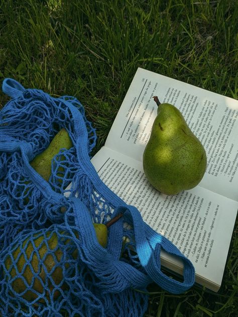 aesthetic Pear Fruit Aesthetic, Fruit Photography Aesthetic, Pears Aesthetic, Pear Aesthetic, Fruity Aesthetic, Fruit Aesthetic, Fruit Bat, Fashion Aesthetics, Easy Rider