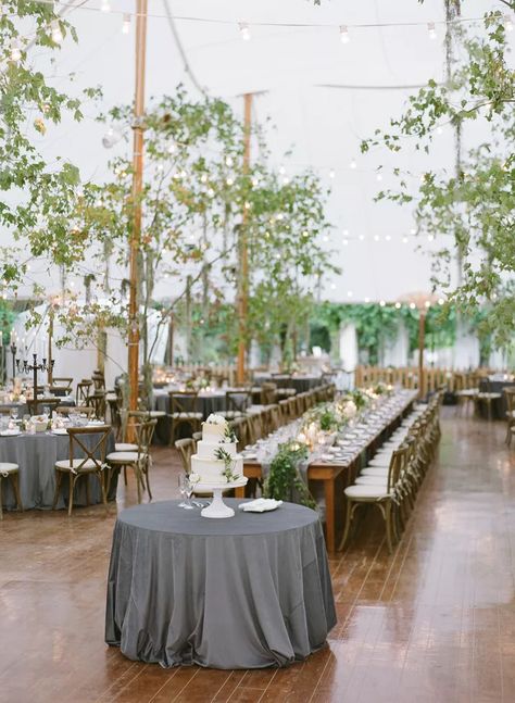 Wedding Tent Ideas, Tent Ideas, Outdoor Tent Wedding, Tent Decorations, Tent Reception, Wedding Tent, Outdoor Tent, Wedding Forward, Outside Wedding