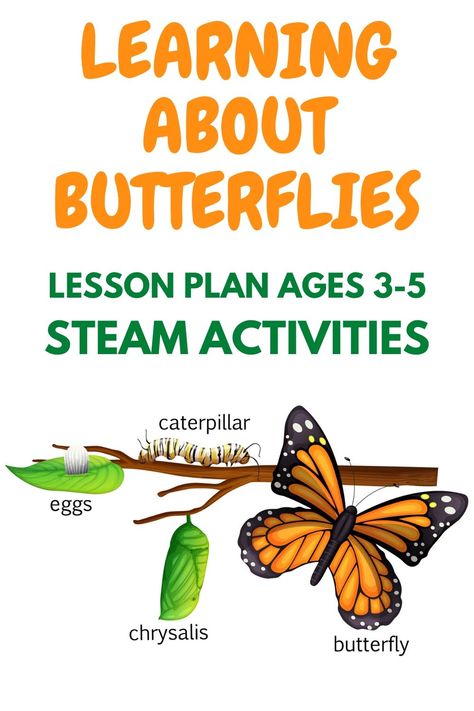 Steam Lesson Plans Preschool, Monarch Butterfly Lesson Plans, Preschool Life Cycle Of A Butterfly, Butterfly Theme For Preschool, Life Cycle Of A Butterfly Lesson Plan, Butterflies Lesson Plans Preschool, Caterpillar Lesson Plans Preschool, Butterfly Cycle Activities, Learning About Butterflies