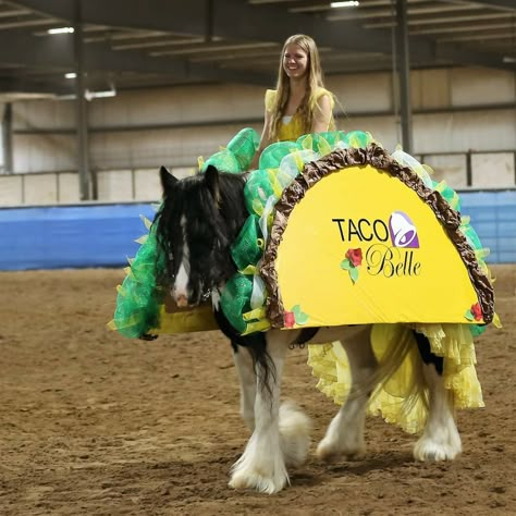 DIY Taco Belle horse costume contest for Halloween with my Gypsy Horse #KovuTheGypsy #GypsyHorse Horse Show Halloween Costumes, Horse Custom Halloween, Halloween Horse Stall Decorations, Horse Show Costume Class Ideas, Horse Dress Up Ideas, Horse Costume Class Ideas, Costumes For Horses And Rider, Horse And Rider Costumes Diy Easy, Halloween Costumes For Horses And Rider