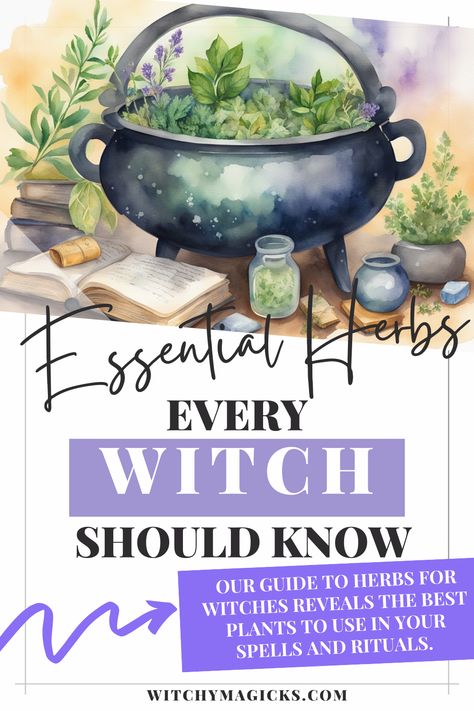 Enhance your witchcraft with the power of herbs! Discover essential herbs for witches that can boost your spells, rituals, and magical practice. Our guide explores the magical properties of herbs like sage, rosemary, and lavender, and how to use them effectively in your craft. Perfect for beginners and seasoned witches alike. Ready to harness the power of nature in your magic? Dive into our comprehensive guide to herbs for witches today! How To Burn Herbs In A Cauldron, Essential Witch Herbs, Basic Herbs For Witchcraft, Witchy Herbs And Meanings, Herbs For Healing Witchcraft, Herbs For Beginner Witches, Herbs For Witches, Herbs In Witchcraft, Magical Properties Of Herbs