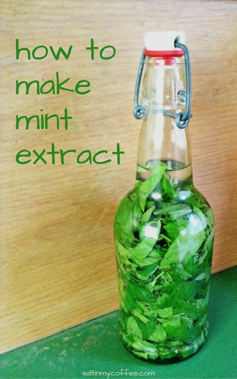 How to Make Mint Extract - Celebrating a Simple Life Diy Extracts, Mint Extract, Mint Recipes, Homemade Spices, Homemade Seasonings, Garden Recipes, Christmas Cooking, My Coffee, Fermenting