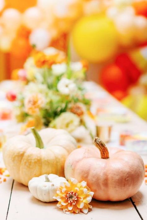 Take a look at this cute candy corn Halloween party! The pumpkin centrepieces are wonderful!! See more party ideas and share yours at CatchMyParty.com Halloween Countdown Calendar, Candy Corn Halloween, Mini Pinatas, Halloween Party Decorations, Pretty Pumpkins, Personalized Candy, Halloween Candy Corn, Halloween Goodies, Pumpkin Centerpieces