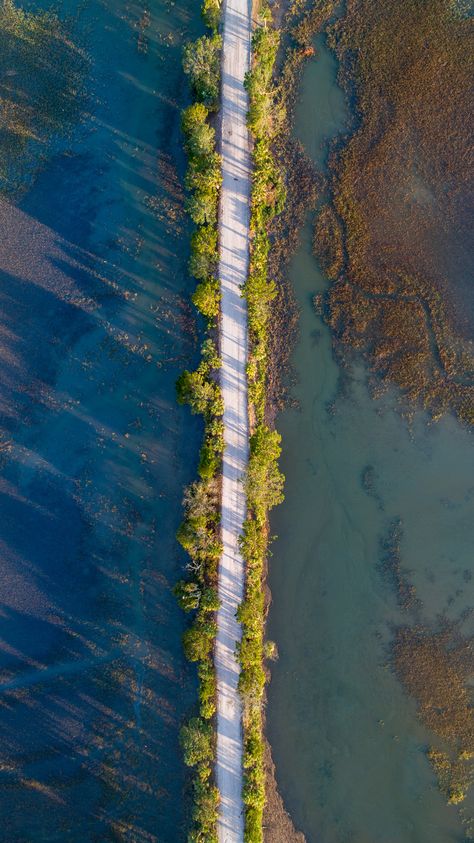 Georgia Has a Coast? — THE BITTER SOUTHERNER Gas Station Attendant, Coastal Georgia, Cumberland Island, Georgia Coast, Tidal Pool, Surreal Photos, Sea To Shining Sea, St Simons, Southern Gothic