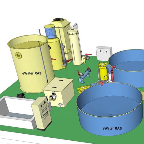 Water Purification Systems For Indoor Intensive Recirculating Aquaculture Systems Fish Farming / Pisciculture Equipment - Buy Pisciculture,Fish Farming,Water Purification Systems For Indoor Intensive Recirculating Aquaculture Systems Fish Farming / Pisciculture Equipment Product on Alibaba.com Recirculating Aquaculture System, Small Pool Landscape, Modern Farm Houses, Aquaculture Aquaponics, Vertical Farm, Fish Hatchery, Salt Water Fish, Water Purification System, Air Bersih