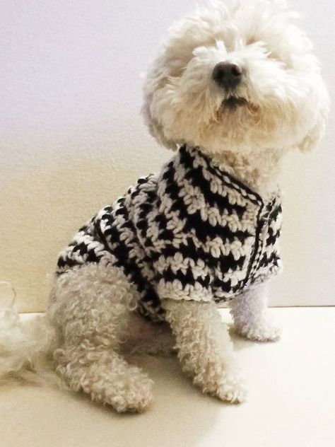 Black & Ivory crochet dog cardigan handmade from very soft warm mixed yarn. It has  buttons closure and is very easy to put on your pet. Dogs Sweater, Crochet For Pets, Dog Sweater Crochet, Pet Crochet, Crochet Dogs, Puppy Things, Dog Sweater Crochet Pattern, Granny Square Cardigan, Square Cardigan