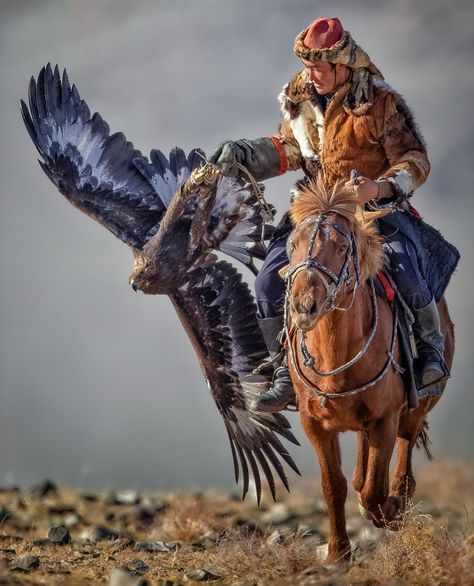 Mongolian Eagle Hunter, Mongolian Horses, Mongolian Eagle, Eagle Hunter, Bactrian Camel, Altai Mountains, Inktober 2024, Golden Eagles, Photography Career