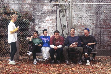 F•R•I•E•N•D•S Friends Serie, Deco Cinema, Thanksgiving Football, Friends Best Moments, Friends Scenes, Friends Thanksgiving, Friends Episodes, Friends Poster, Friends Cast