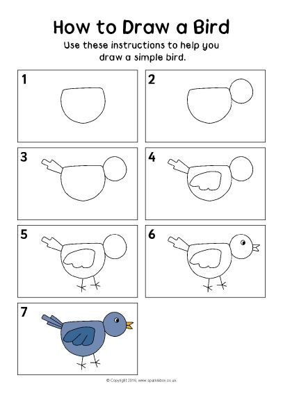 How to Draw a Bird Instructions Sheet (SB11518) - SparkleBox Ako Kresliť, Draw A Bird, Kindergarten Drawing, Birds For Kids, Kindergarten Art Lessons, Drawing Lessons For Kids, Directed Drawing, Bird Drawing, Easy Drawings For Kids