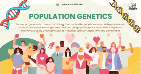 Population genetics is a branch of biology that studies the genetic variation within populations and how this variation changes over time and geographical space. It provides insights into microevolutionary processes such as mutation, selection, gene flow, and genetic drift. Genetic Memory, Genetics Infographic, Genetics And Evolution Notes, Genetic Drift, Genetically Modified Organisms, Population Genetics, Branches Of Biology, Genetic Variation, Human Genome