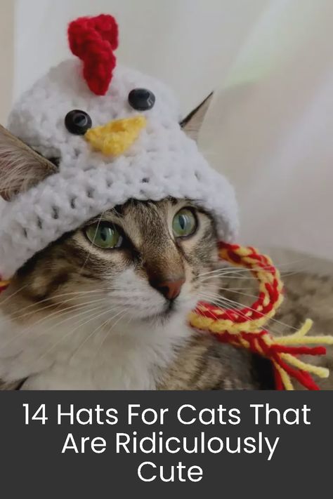 Adorable hats for cats that you can purchase from Etsy. Crochet A Hat For A Cat, Crochet Cat Hat Pattern Free Repeat Crafter Me, Crochet Gifts For Cat Lovers, Crocheted Hats For Cats, Crochet Hats For Cats Pattern Free, How To Crochet A Cat Hat, Crochet Pet Hats Free Pattern, Crochet Hat For Cat Pattern Free, Crochet Cat Hat Pattern Free