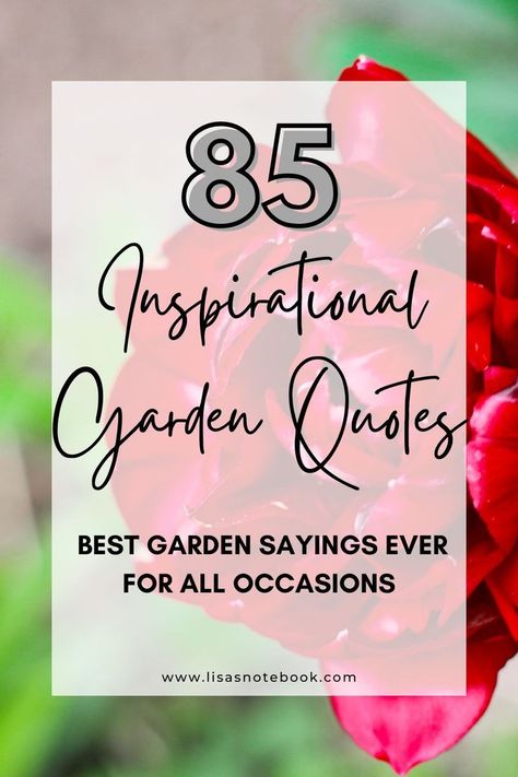 Looking for perfect inspirational garden quotes and cute garden sayings? Here are 85 garden sayings and quotes for plant lovers for all occasions - including short garden quotes, funny garden quotes, garden proverbs and more! Friends Flowers Quotes, Spring Gardening Memes Funny, Garden Quotes Inspirational Short, Garden Quotes Funny, Garden Sayings And Quotes, Gardening Sayings, Gardener Quotes, Quotes About Gardening, Gardening Quotes Inspirational